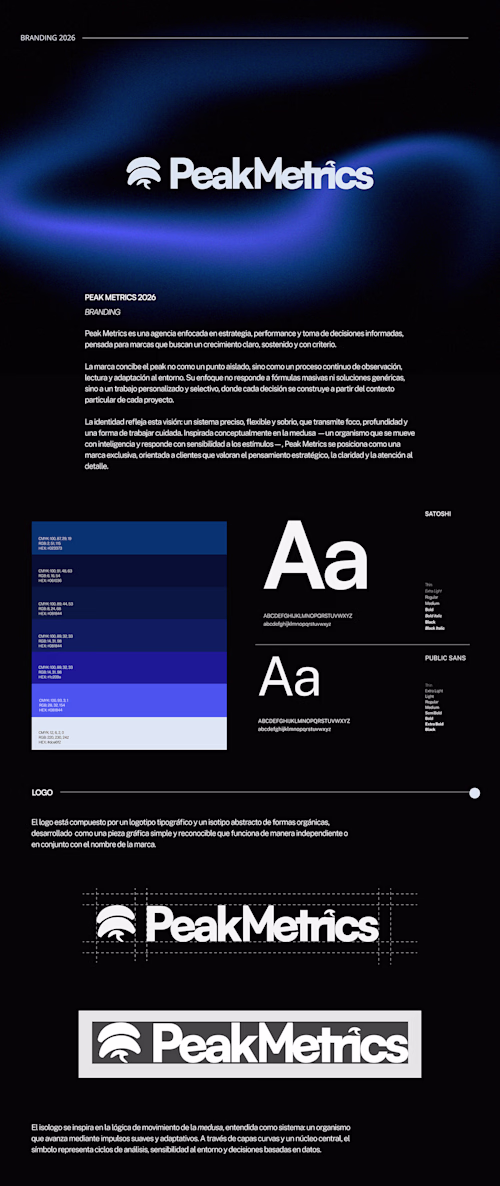 PEAK METRICS | Brand & Visual Identity