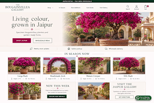 Bougainvillea Retail & Wholesale Website Concept