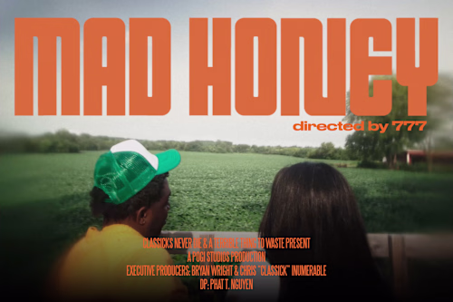 theMIND - Mad Honey