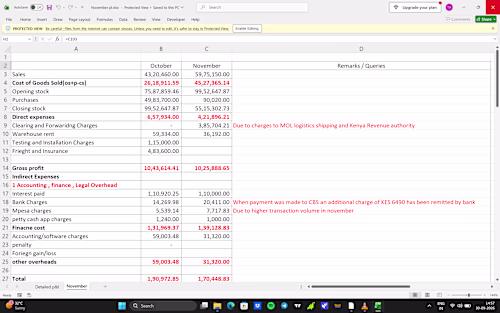 Prepared a comprehensive monthly P&L