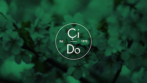 Modern Logo Design