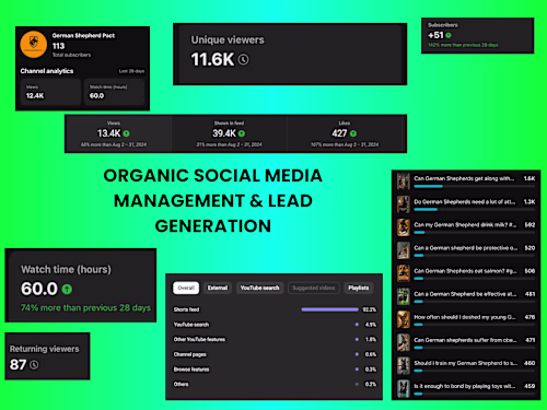 Organic YouTube Shorts Marketing for eCommerce Brand Growth