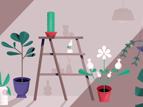 Seed & Stem