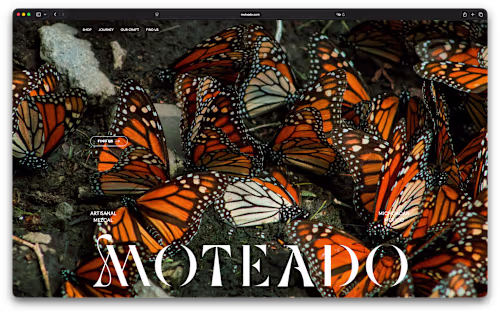 Moteado Mezcal — Shopify UX