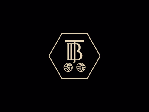Tenacious Ballers Logo Design