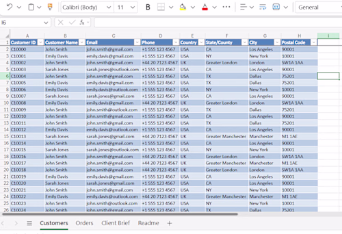 Customer Data