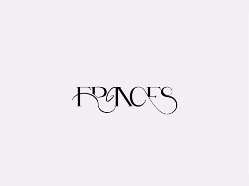 PORTFOLIO - Webflow Developer +