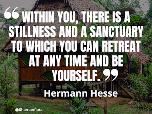 Social Media Marketing for Shamanflora- Healing center in Amazon