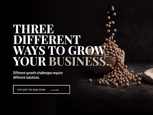 3 Different Ways to Grow a Business