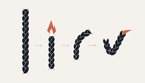 BRAYD: Mascot System for a Productivity Ritual Brand