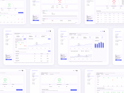 Business Health Pro — Product Design & Digital Experience