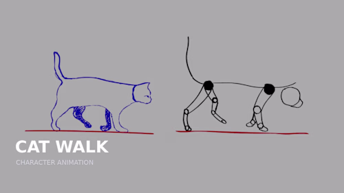CAT WALK — CHARACTER ANIMATION
Character