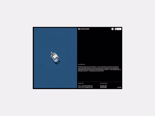 Boost Your Ecommerce with Webflow: Discover CIRRUS NOIR