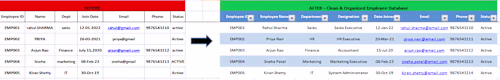 Excel Data Cleaning & Formatting