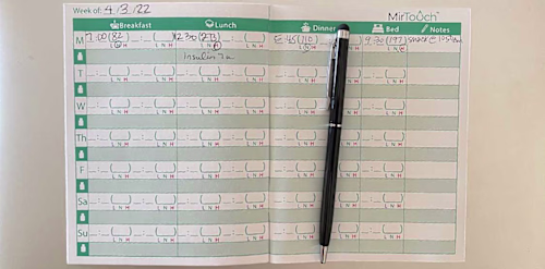 Looking for a Diabetic Logbook? Look No Further
