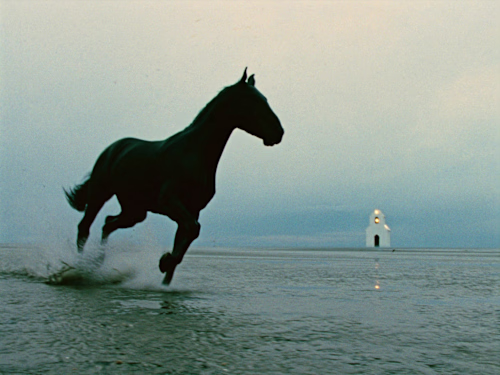 Run free