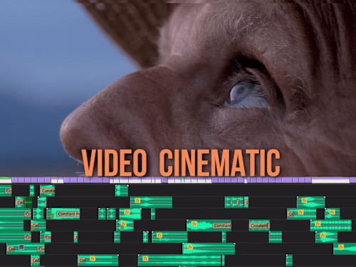Cinematic Video 
