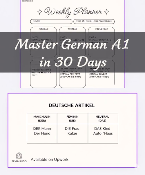 A comprehensive, visually-driven guide designed