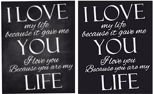 vector photos 