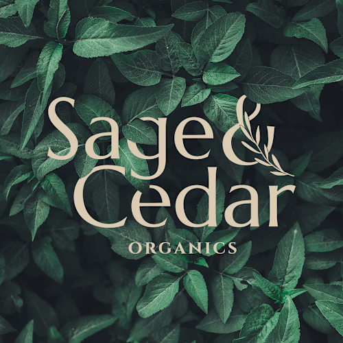 CBD Company Brand Design and Strategy