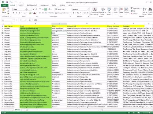 Email and ID Data Entry for Marketing Campaign