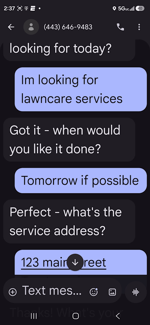 My chatbot in action