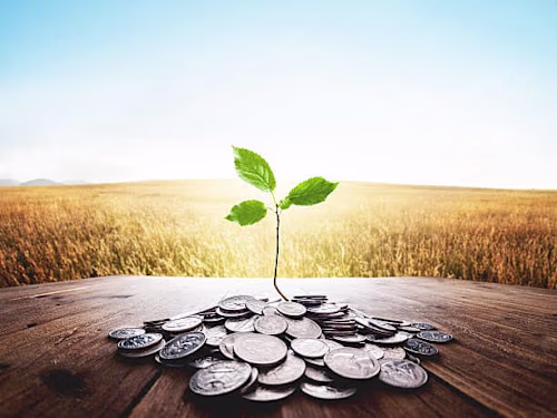 Investing 101: Planting Seeds of Wealth