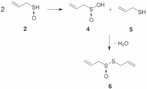What is Allicin?