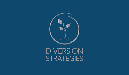 Diversion Strategies | Brand Identity 