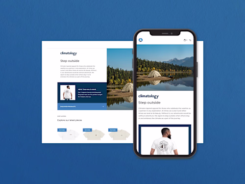 An e-commerce site built in webflow