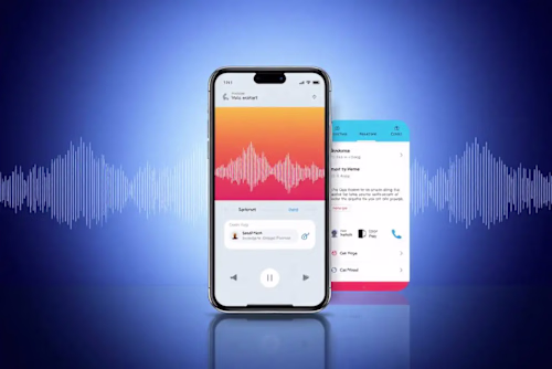 Multilingual AI Voice Assistant with On-Device Privacy