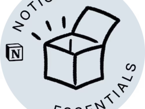 Notion certified !