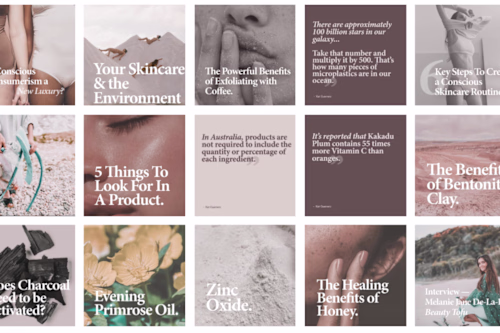 Noema Blog Posts