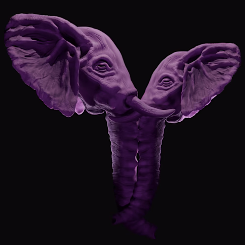 Elephant Couple
