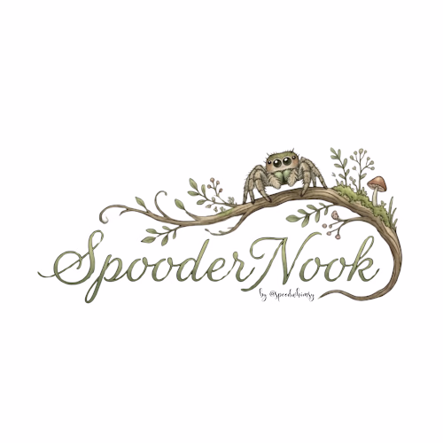 Created a cohesive visual brand