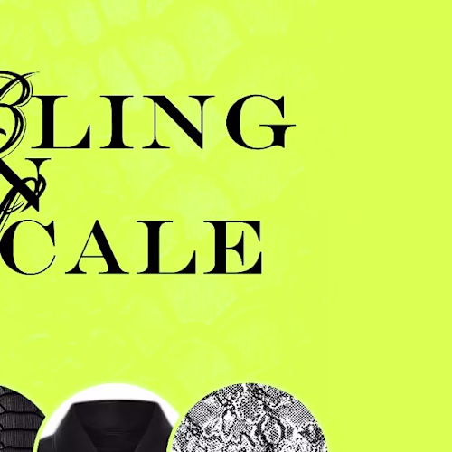 “BLING ON SCALE • Texture Mixture