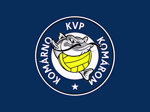 Logo and Brand Identity for Local Water Polo Team
