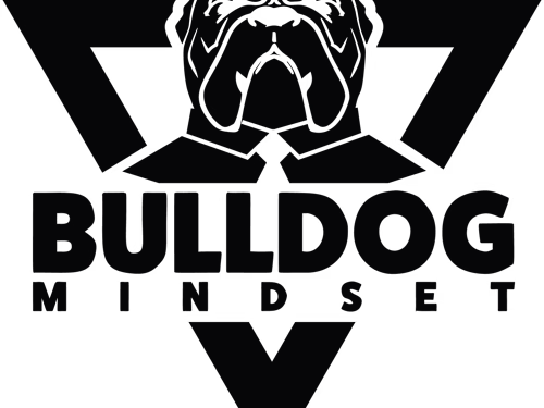 Marketing Blog Writer