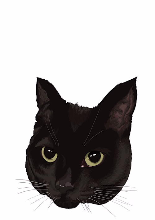 Personalised pet portraits :: Behance