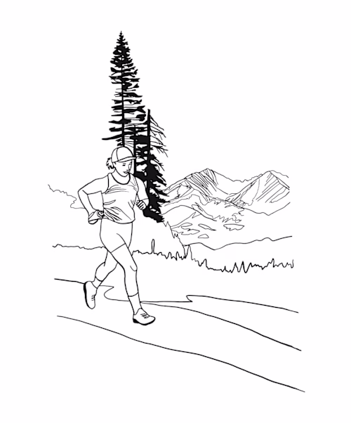 Label Illustrations for Treeline Coffee