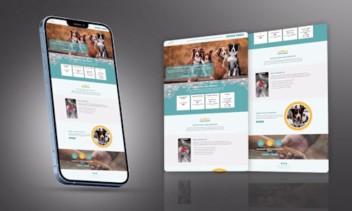 E-commerce function website