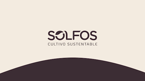 Creación de Logo e Identidad,