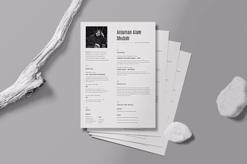 Curriculum Vitae on Behance
