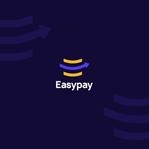 Brand Identity for Easypay