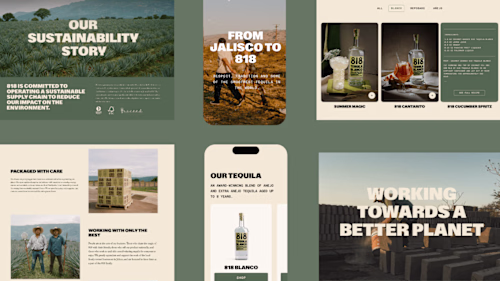Shopify Web Design for Award wining Tequila Brand
