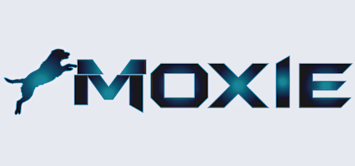 Logo Rebranding for  Company