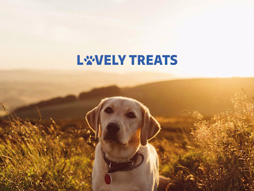 Brand identity for Lovely Treats