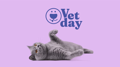 Vetday — Veterinary Brand Identity