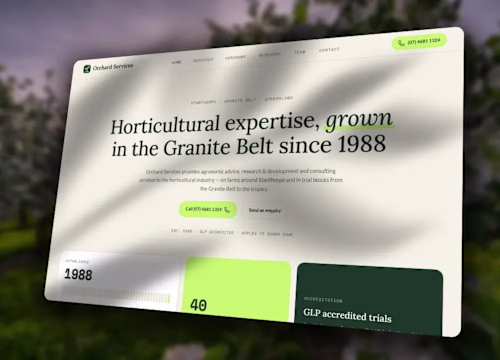 I put this website concept