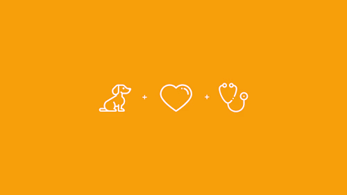 Veterinary Clinic Brand Visual Identity